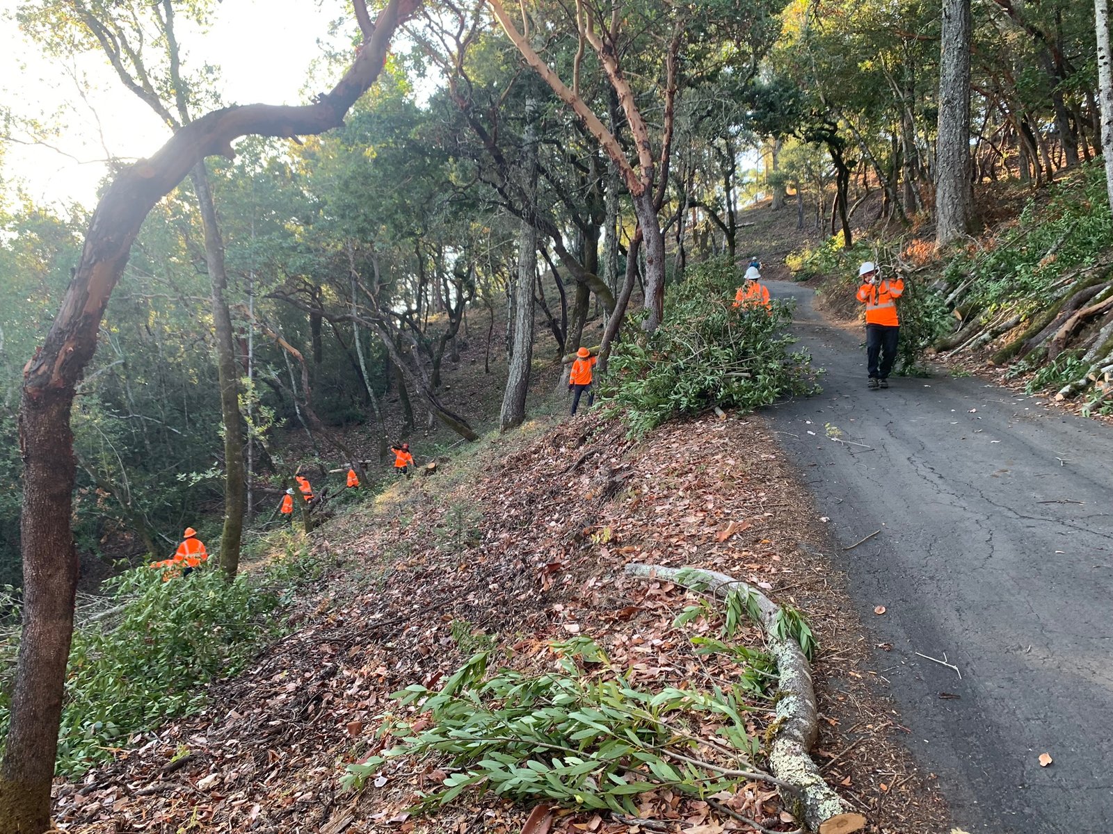 Defensible Space Fuel Reduction team at work